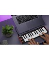 Akai Professional LPK25 MK2 MIDI  Keyboard 